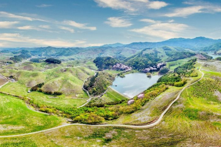 서산한우목장 웰빙산책로 여행 추천 - 메고지고