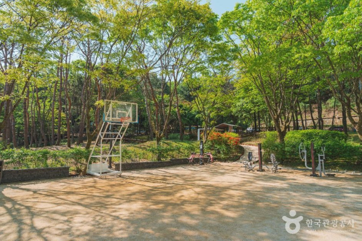 한솔근린공원 여행 추천 - 메고지고