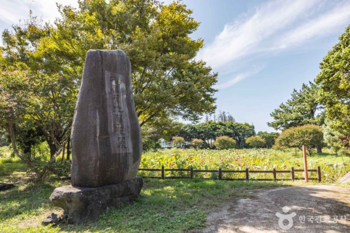 법화사 여행 추천 - 메고지고