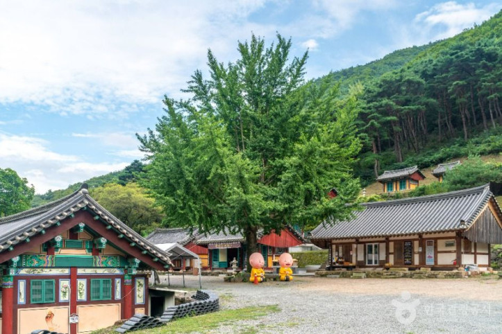 경흥사(경산) 여행 추천 - 메고지고