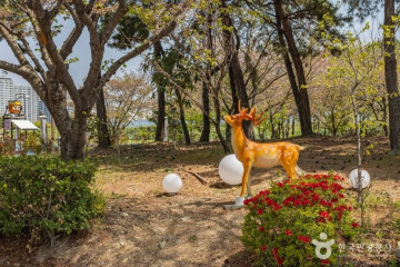 노리클럽 여행 추천 - 메고지고