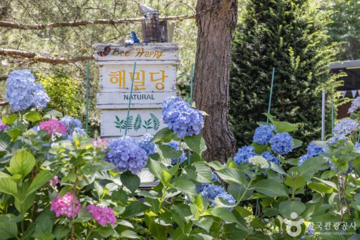 해밀당 여행 추천 - 메고지고