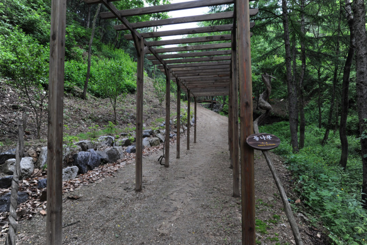 창안산산림욕장 여행 추천 - 메고지고