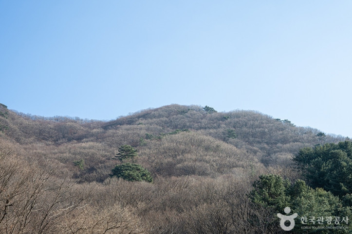 축령산 여행 추천 - 메고지고