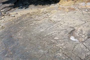 신수도 여행 추천 - 메고지고