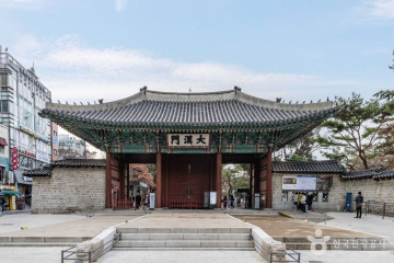 서울광장 여행 추천 - 메고지고