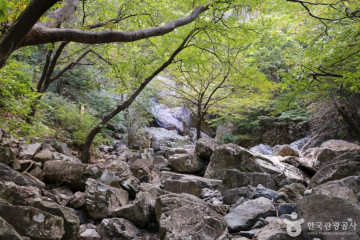 송운사 여행 추천 - 메고지고