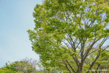 UN조각공원 여행 추천 - 메고지고