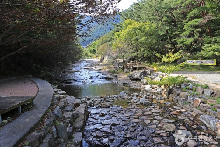 별천계곡 여행 추천 - 메고지고
