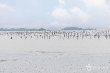 둔장해변 여행 추천 - 메고지고