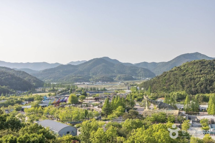 당항포관광지 여행 추천 - 메고지고