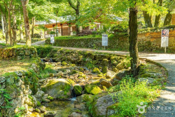 지리산국립공원(하동) 여행 추천 - 메고지고