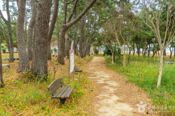 사구미해변 여행 추천 - 메고지고