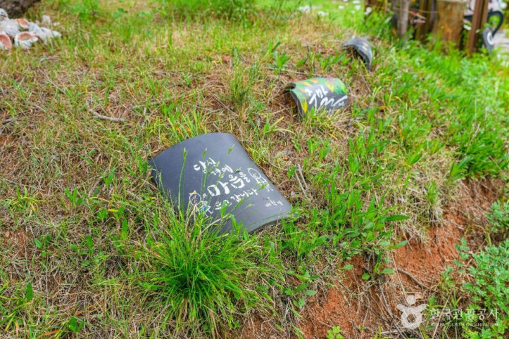 억새밸리존 여행 추천 - 메고지고
