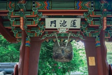보성녹차 시배지 여행 추천 - 메고지고