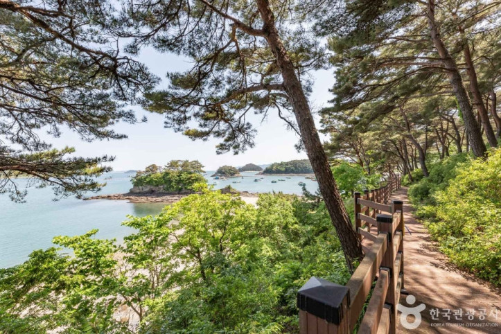 고성 솔섬 여행 추천 - 메고지고