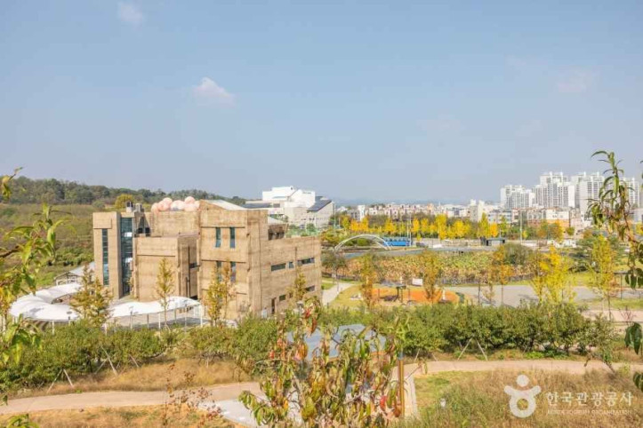농촌테마공원 도도리파크 여행 추천 - 메고지고