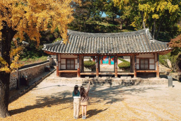 칠보물테마유원지 여행 추천 - 메고지고
