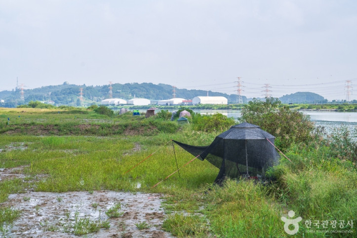 쌀조개섬 여행 추천 - 메고지고