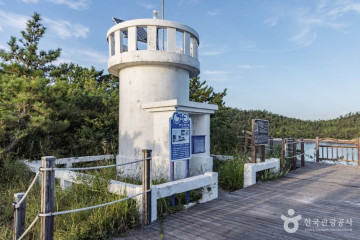 추포해변 여행 추천 - 메고지고