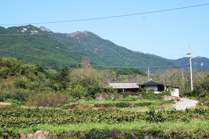 대촌마을 여행 추천 - 메고지고