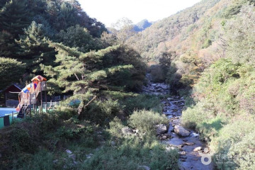 대원사(가평) 여행 추천 - 메고지고