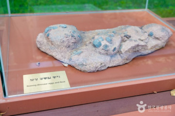 선소어촌체험마을 여행 추천 - 메고지고
