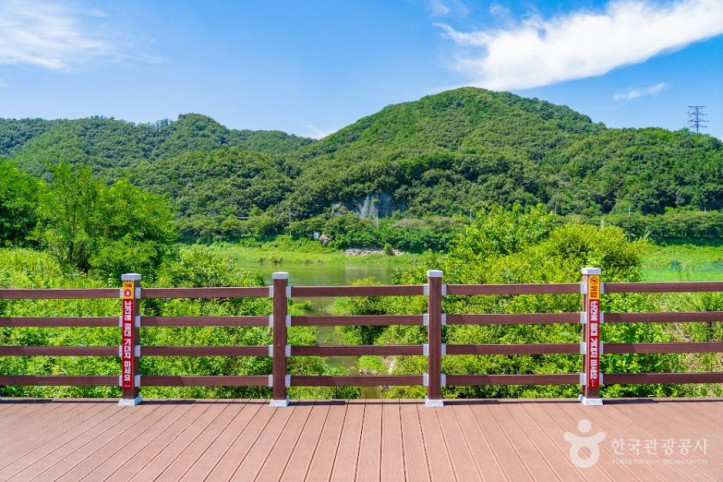 부용체육공원 여행 추천 - 메고지고