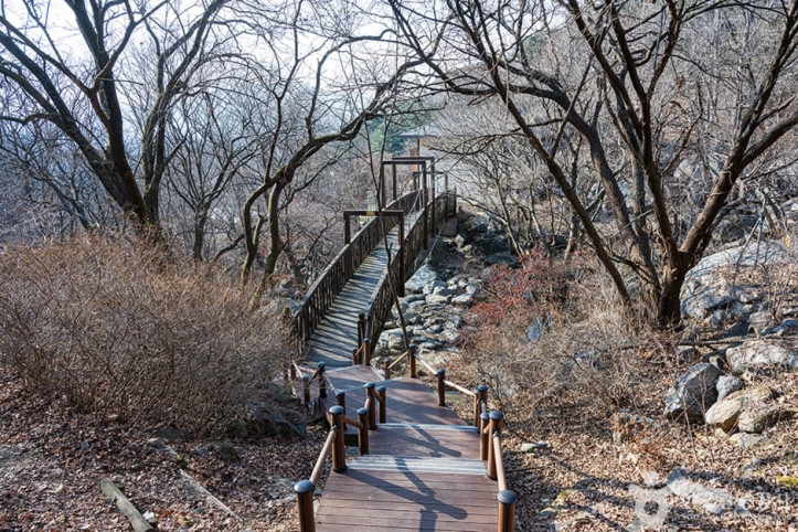 축령산자연휴양림 여행 추천 - 메고지고