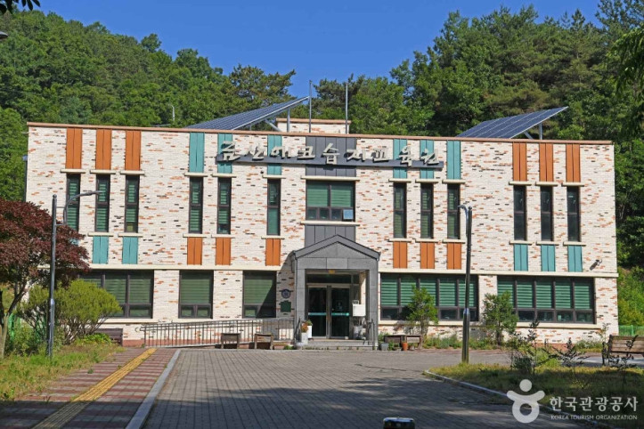 닥실마을 여행 추천 - 메고지고