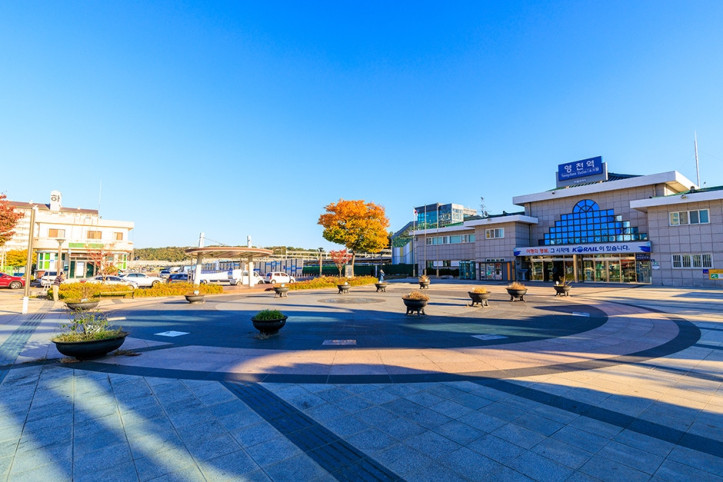 영천역 광장 여행 추천 - 메고지고