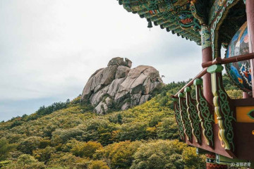 도원리계곡 여행 추천 - 메고지고