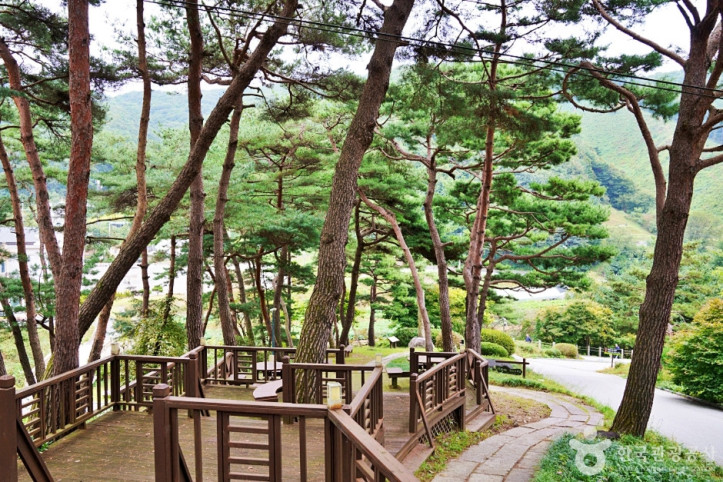 진천 배티 성지 여행 추천 - 메고지고