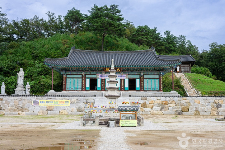 흥룡사 여행 추천 - 메고지고