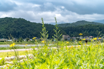 양양송이조각공원 여행 추천 - 메고지고