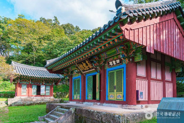 대흥사(해남) 여행 추천 - 메고지고