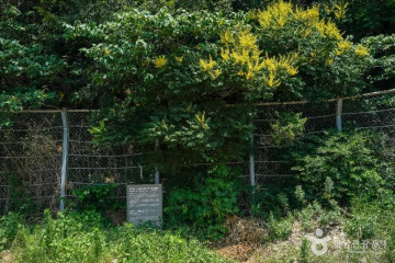 해봉사(포항) 여행 추천 - 메고지고