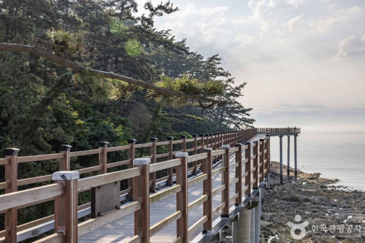 뭍닭섬 산책로 여행 추천 - 메고지고