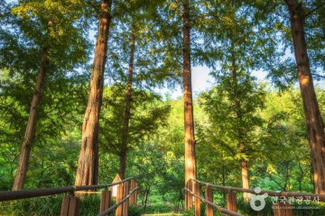 서울함공원 여행 추천 - 메고지고