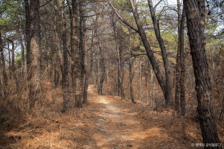 마안산 여행 추천 - 메고지고