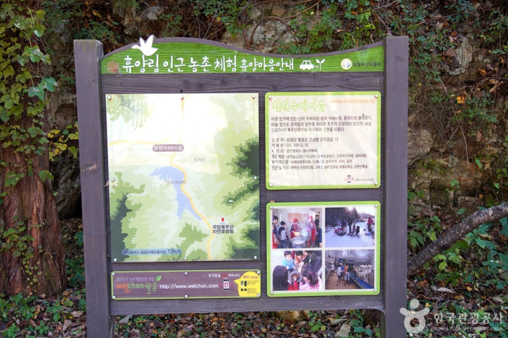 국립 복주산자연휴양림 여행 추천 - 메고지고