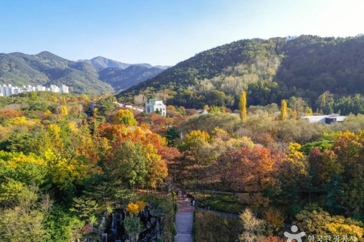 대구두류공원 여행 추천 - 메고지고