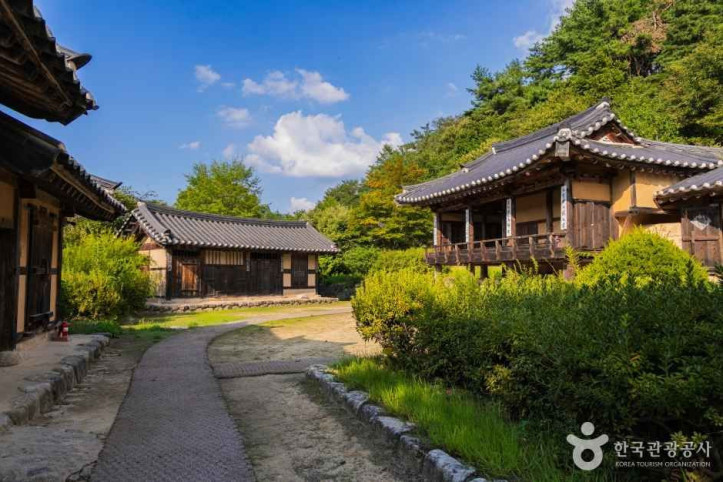 선비촌 여행 추천 - 메고지고