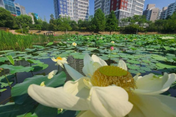 도시농업공원 여행 추천 - 메고지고