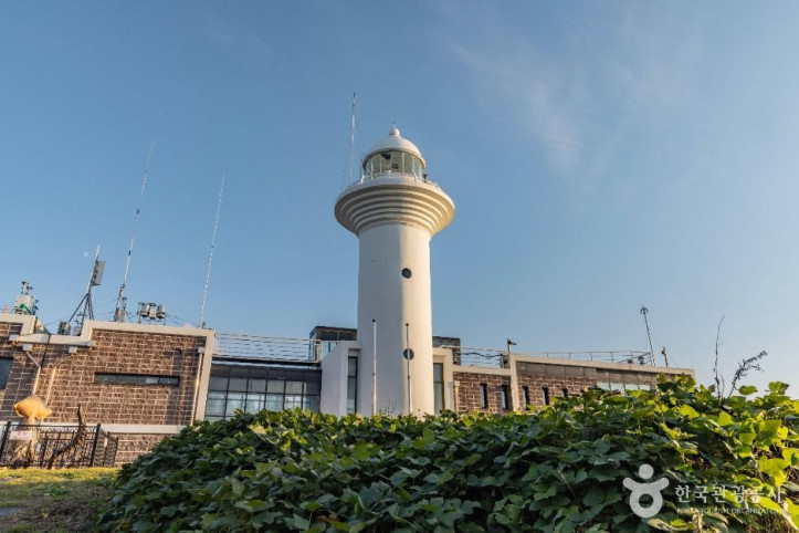 울릉도등대(태하등대) 여행 추천 - 메고지고
