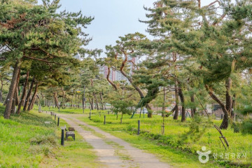 밤밭청개구리공원 여행 추천 - 메고지고
