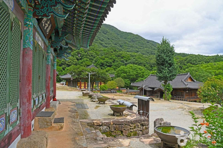 유마사 여행 추천 - 메고지고