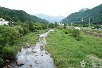동강 (강원고생대 국가지질공원) 여행 추천 - 메고지고