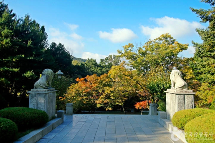 보문산 행복 숲 둘레길 여행 추천 - 메고지고
