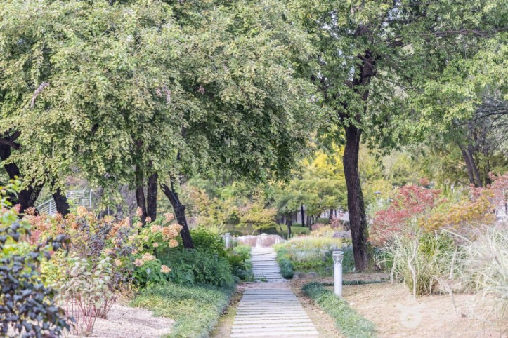 서울창포원 여행 추천 - 메고지고